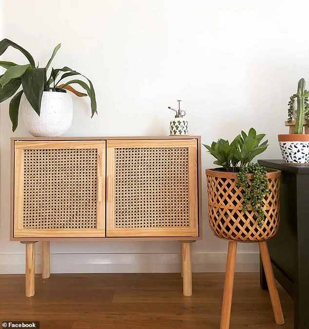 The sideboard decorated with houseplants in an earthy color palette, which interior experts say rattan pieces are perfect for