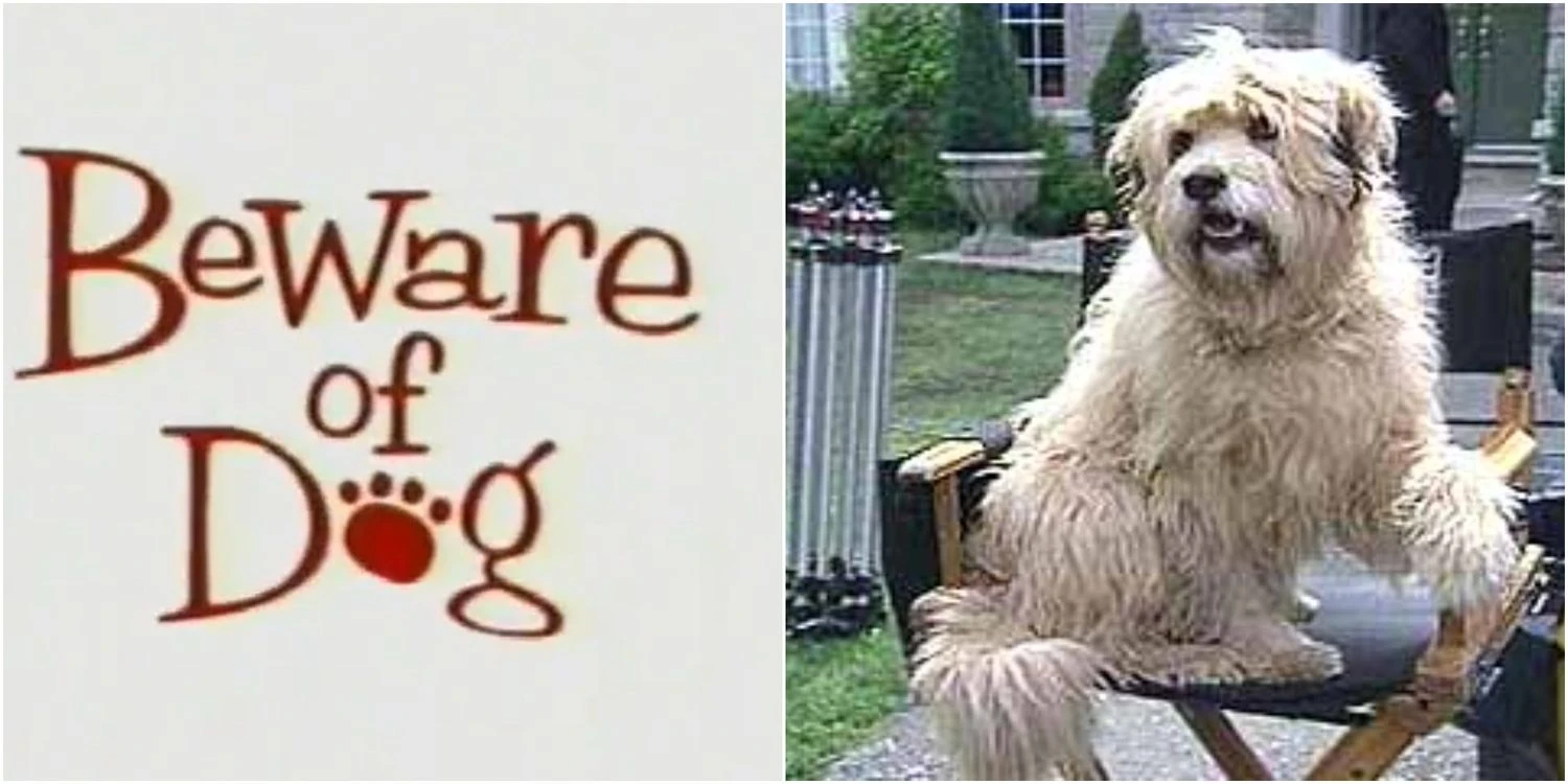 BEWARE OF DOG